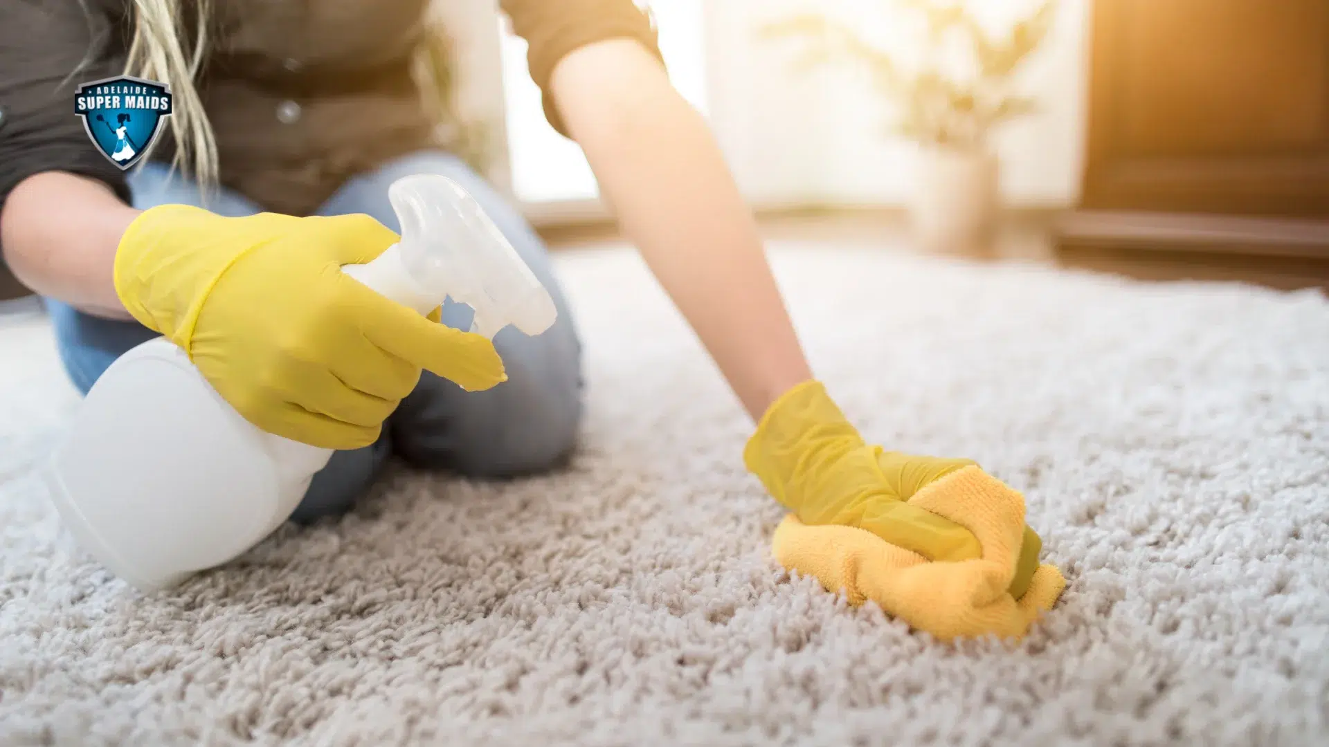 Carpet Cleaning Cost