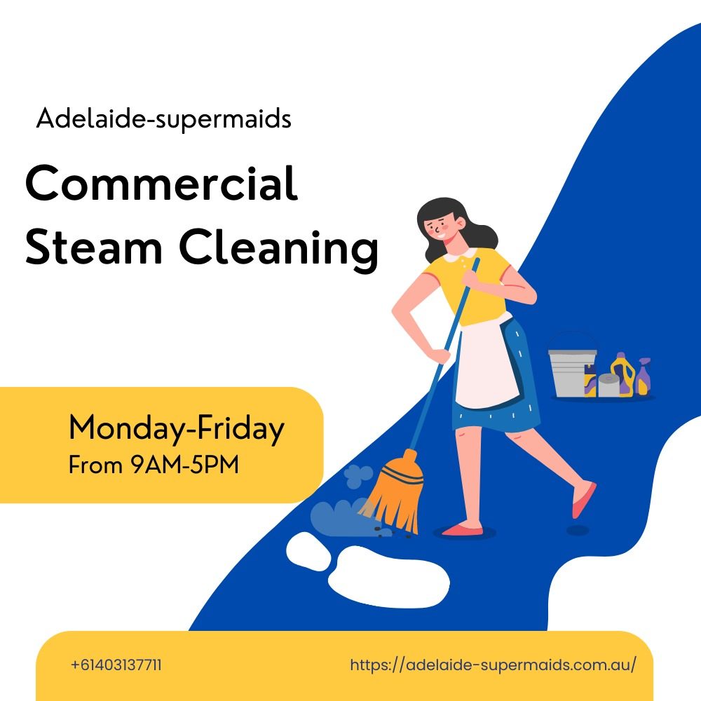 Commercial Steam Cleaners