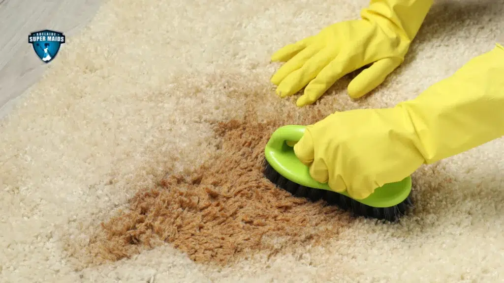 How To Clean Vomit Off Carpet