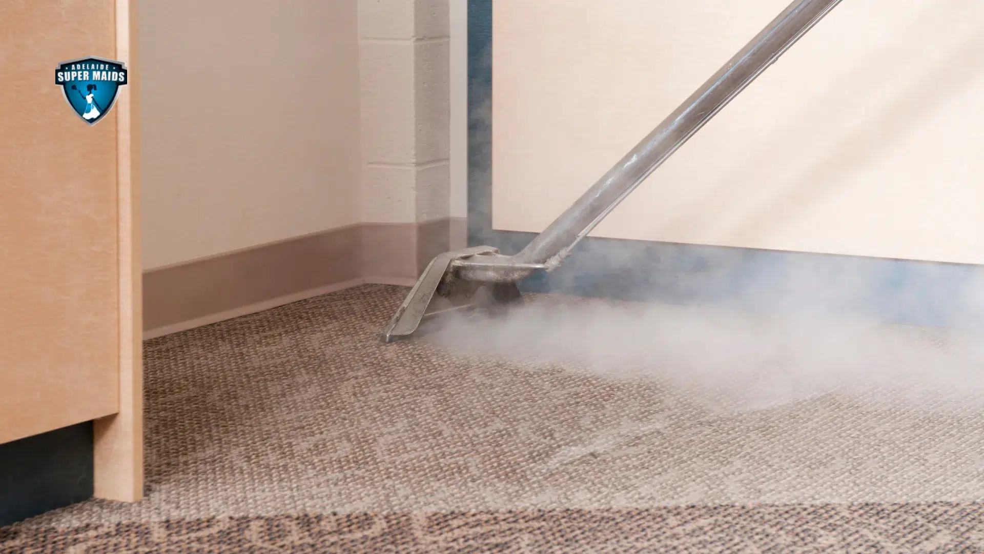 Steam Cleaning Carpets