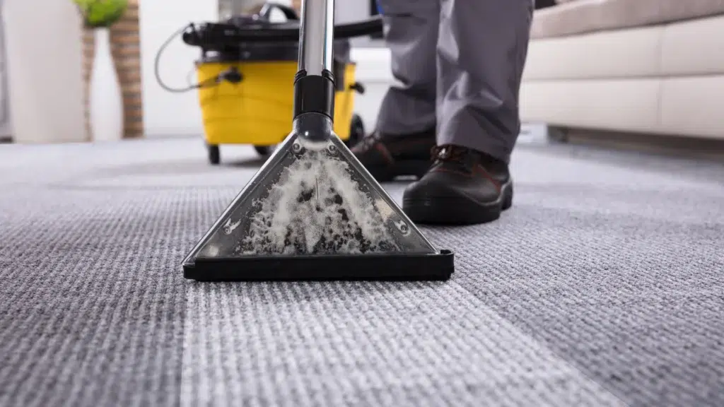 carpet steam cleaning from Adelaide Supermaids