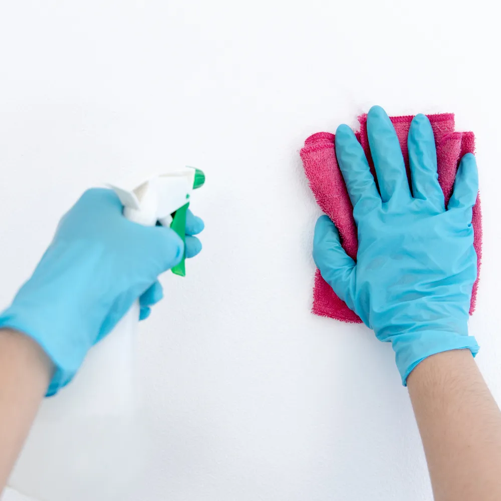 cleaning services adelaide