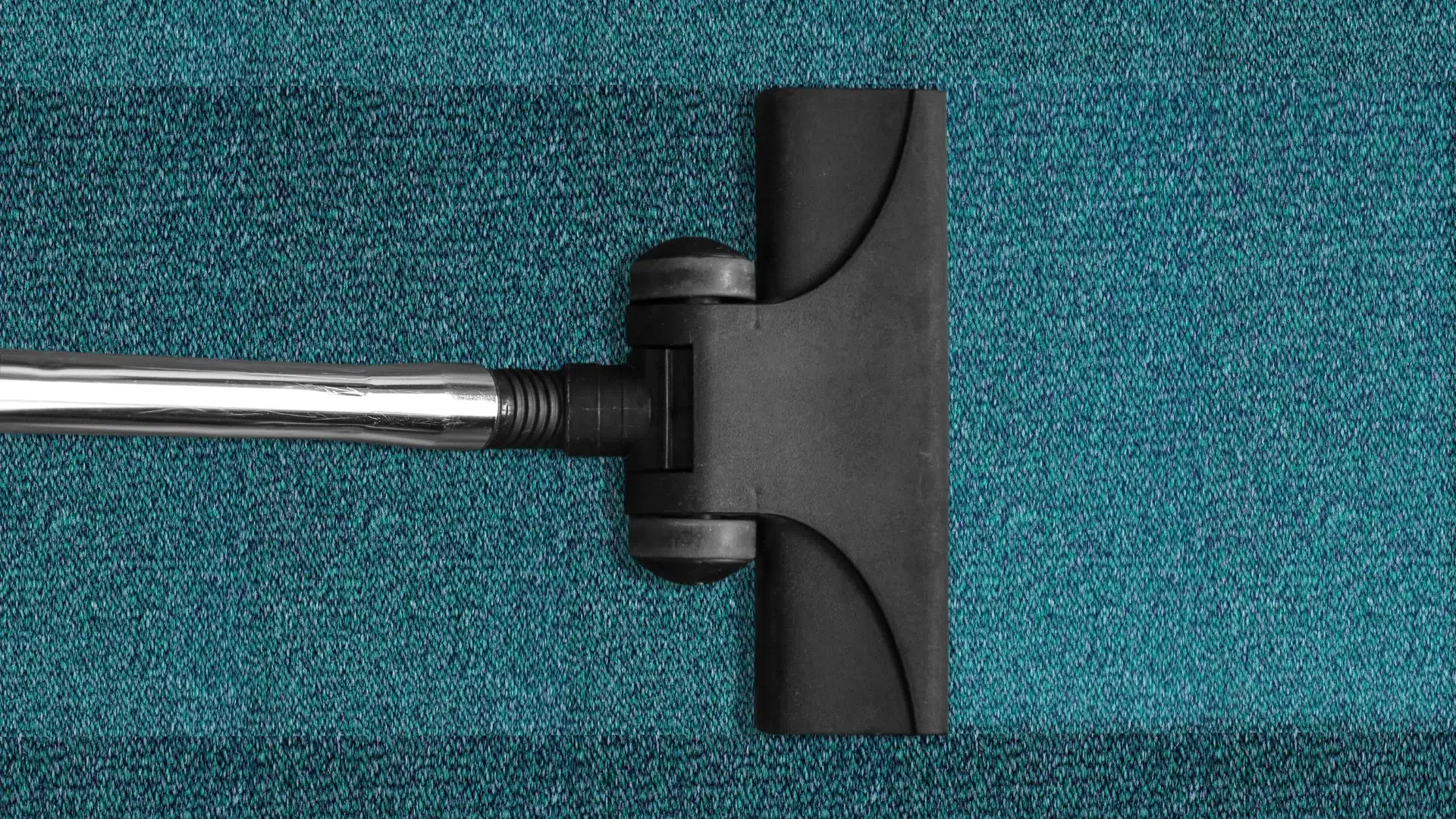 steam clean carpet