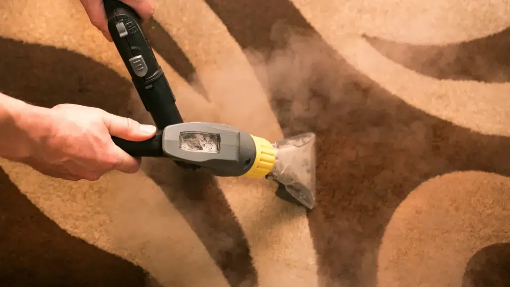 steam clean carpet