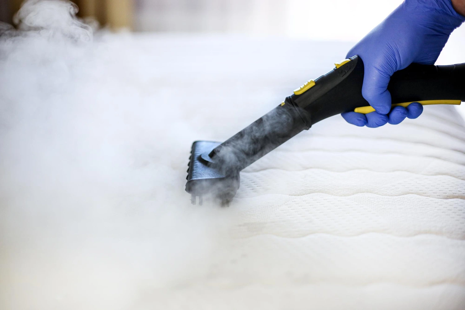 Upholstery Steam Cleaning Service